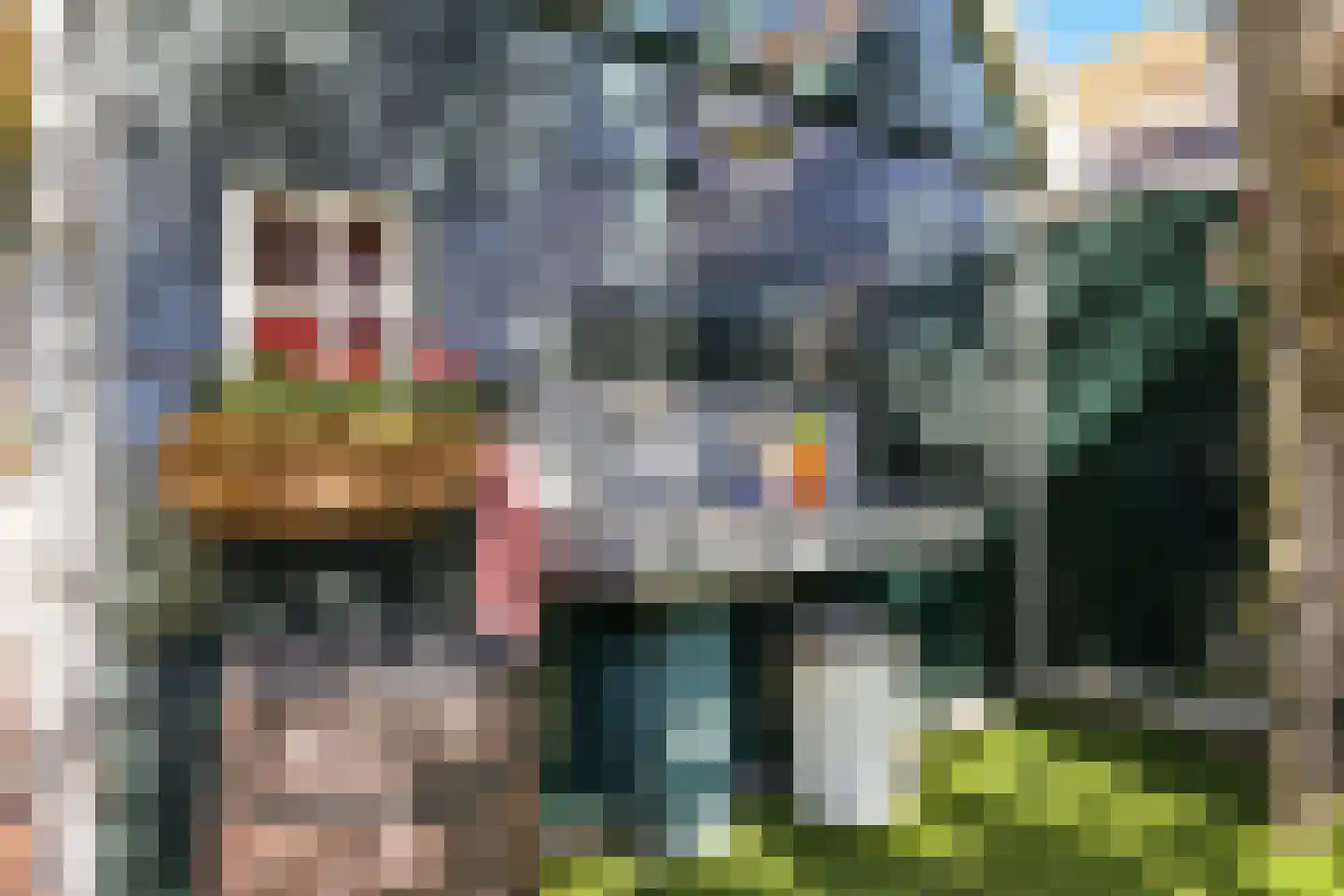 Westergeest 53 Uitgeest thumbnail 26