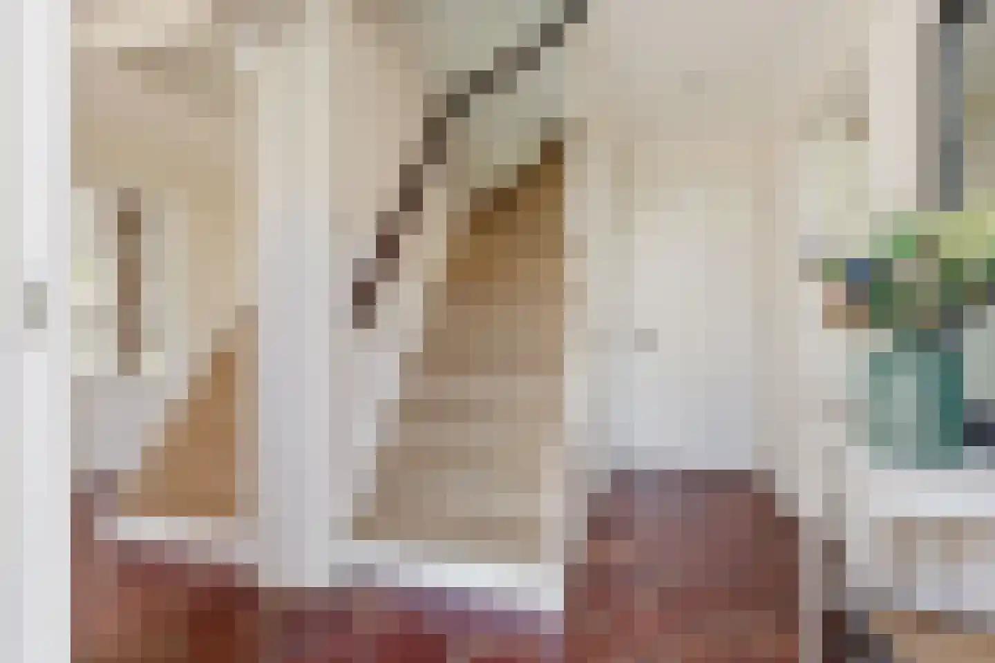 Westergeest 53 Uitgeest thumbnail 29