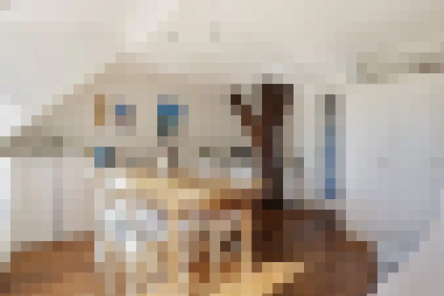 Westergeest 53 Uitgeest thumbnail 32
