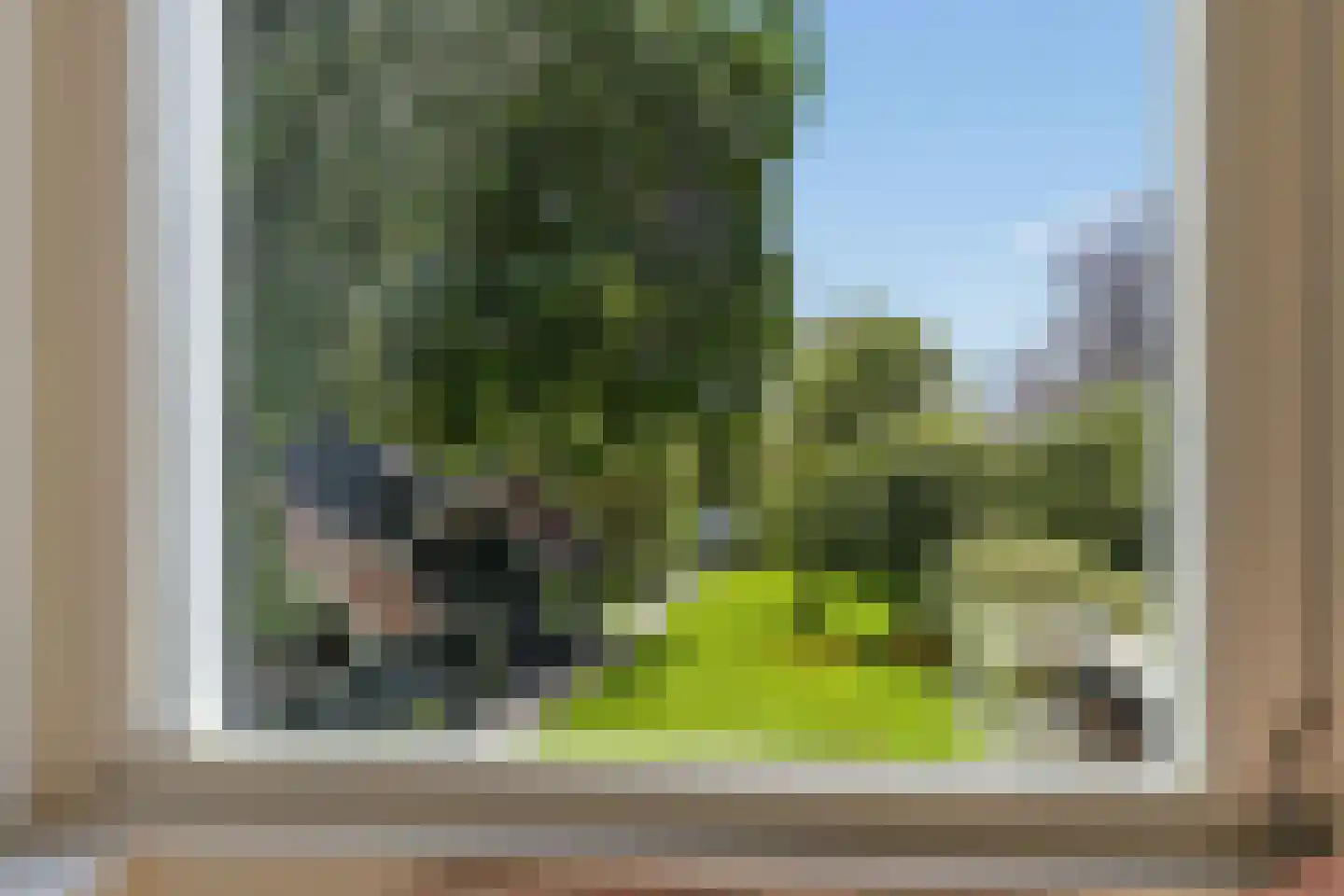 Westergeest 53 Uitgeest thumbnail 33