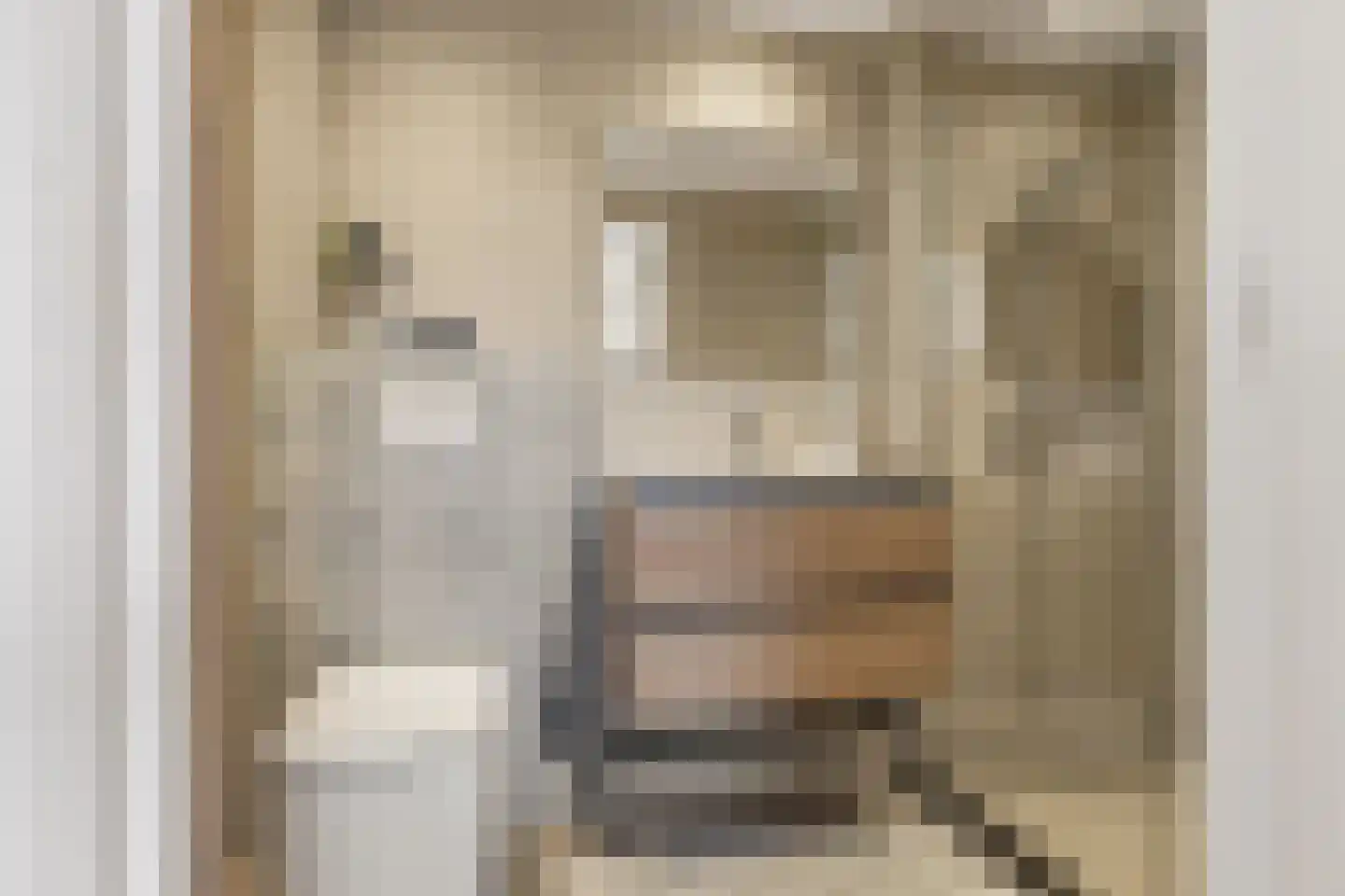 Westergeest 53 Uitgeest thumbnail 37