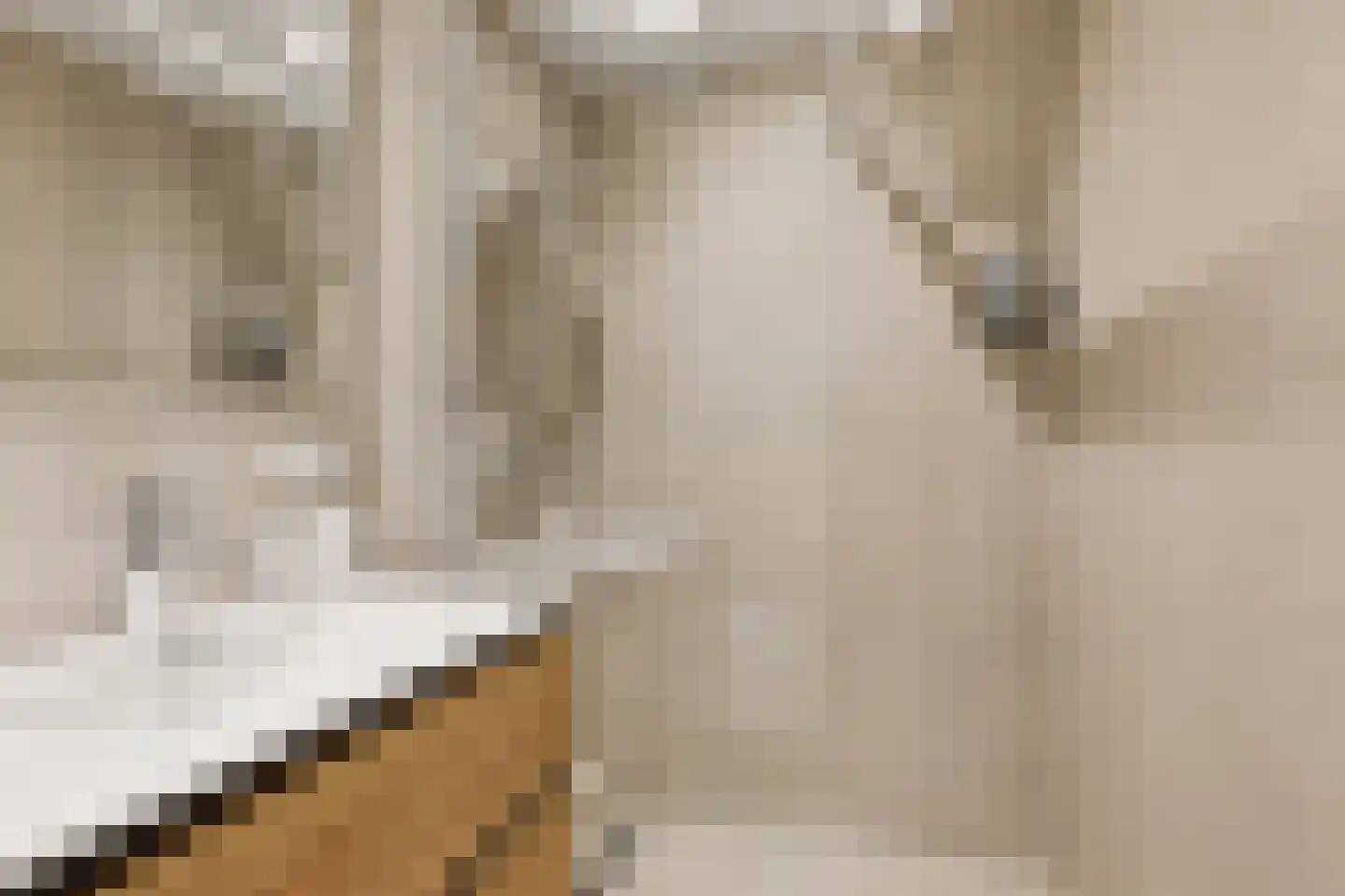 Westergeest 53 Uitgeest thumbnail 38