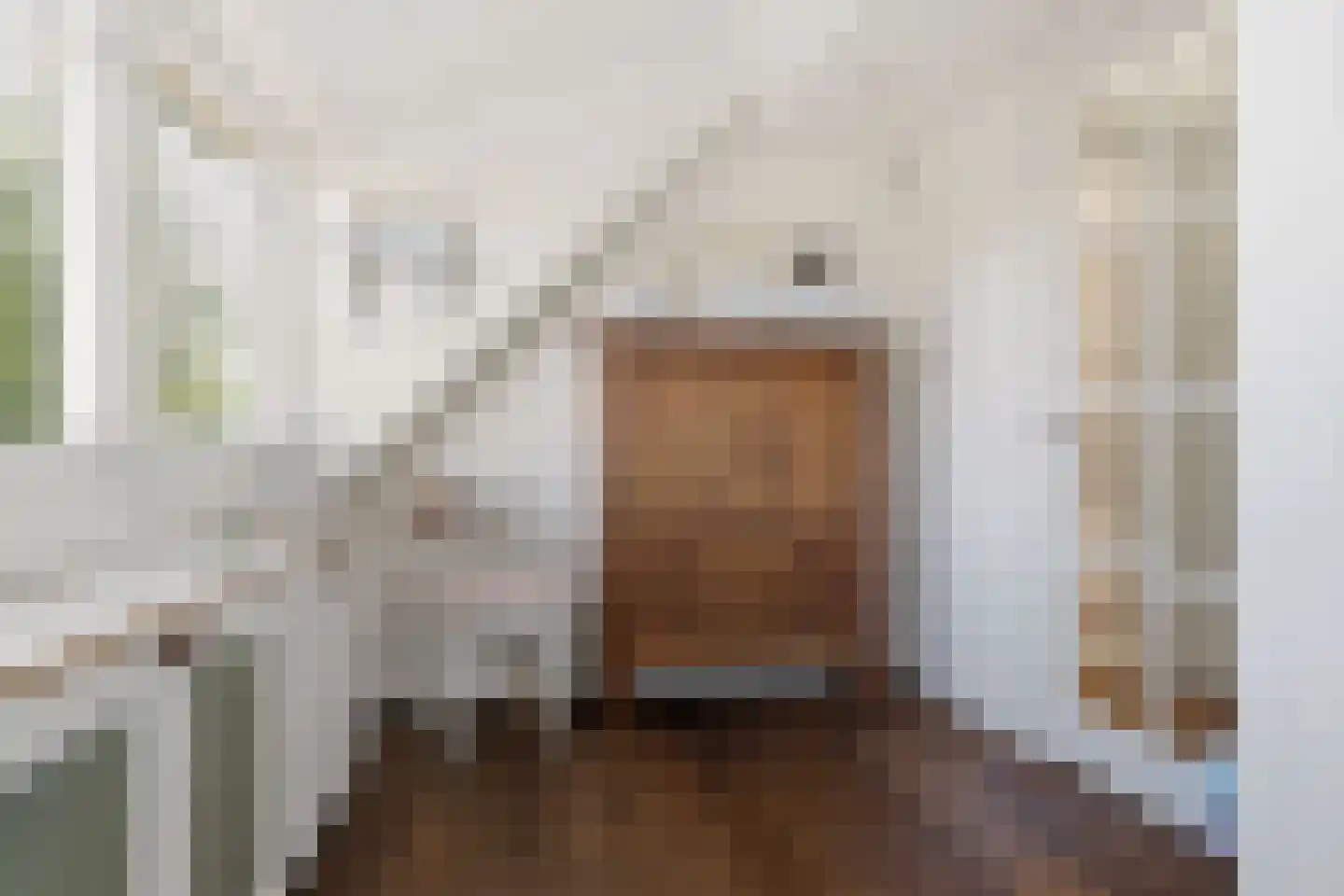 Westergeest 53 Uitgeest thumbnail 39