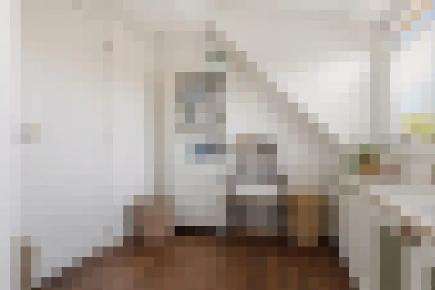 Westergeest 53 Uitgeest thumbnail 41