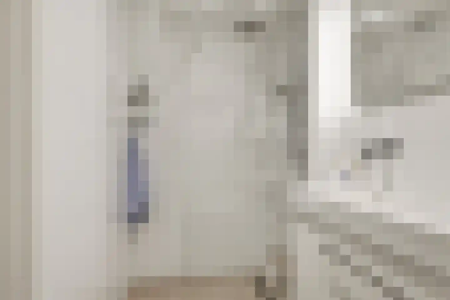 Westergeest 53 Uitgeest thumbnail 43
