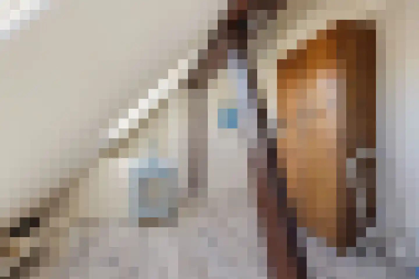 Westergeest 53 Uitgeest thumbnail 44