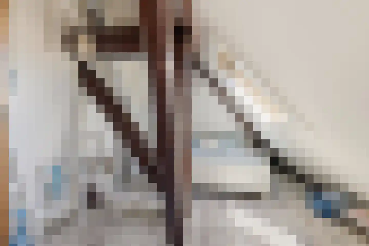 Westergeest 53 Uitgeest thumbnail 45