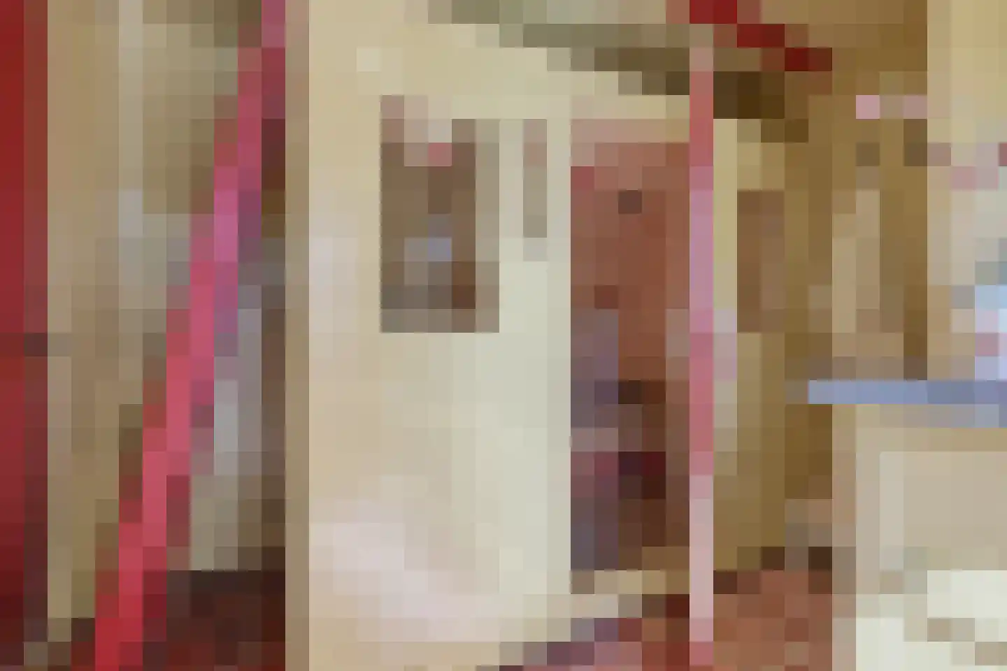 Westergeest 53 Uitgeest thumbnail 46
