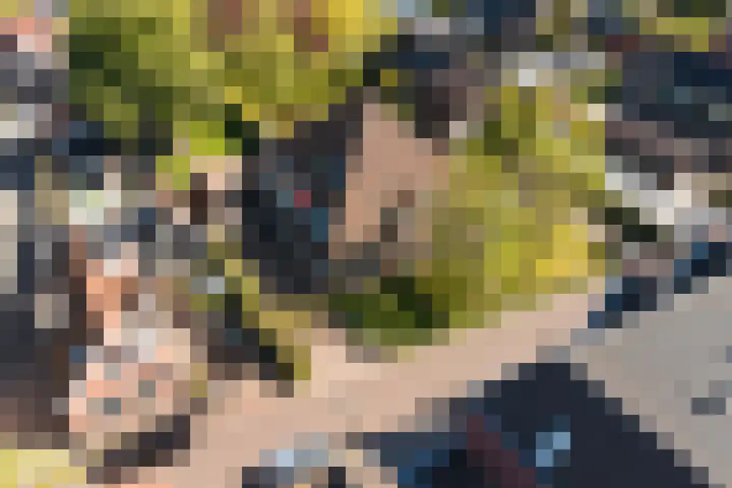 Westergeest 53 Uitgeest thumbnail 51