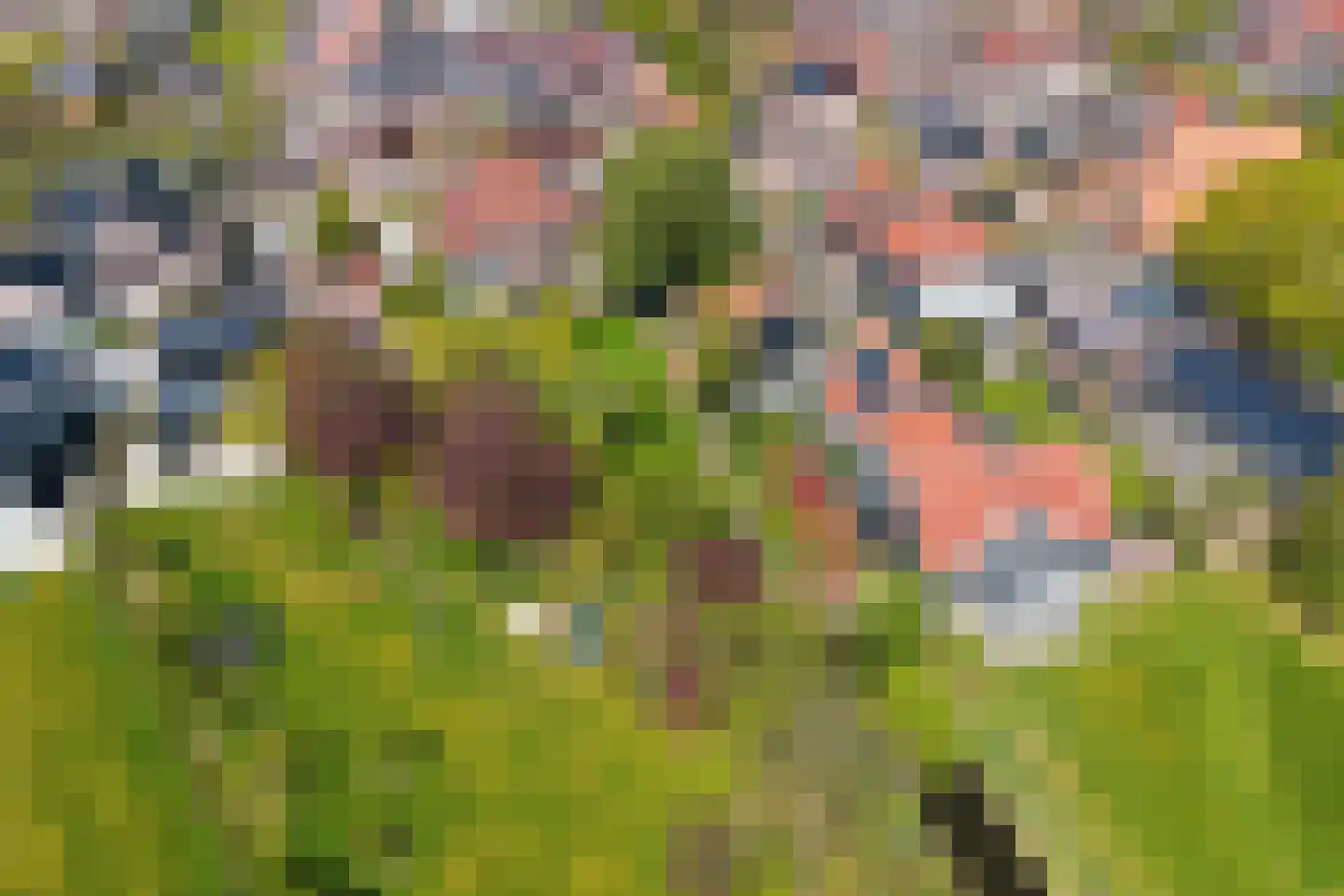 Westergeest 53 Uitgeest thumbnail 52