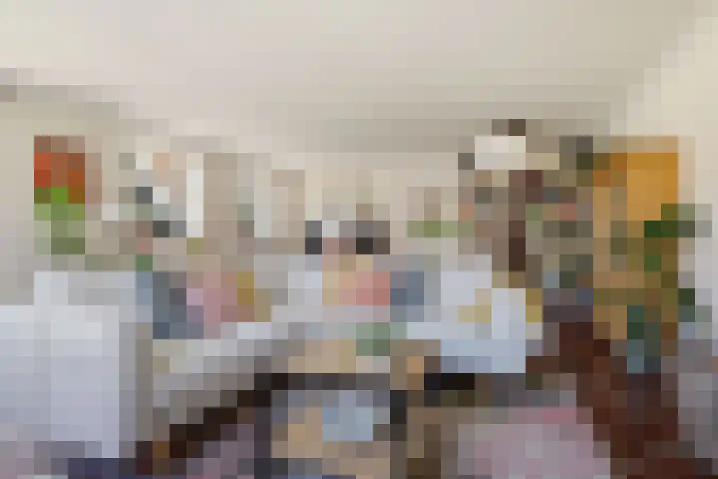 Westergeest 53 Uitgeest thumbnail 6