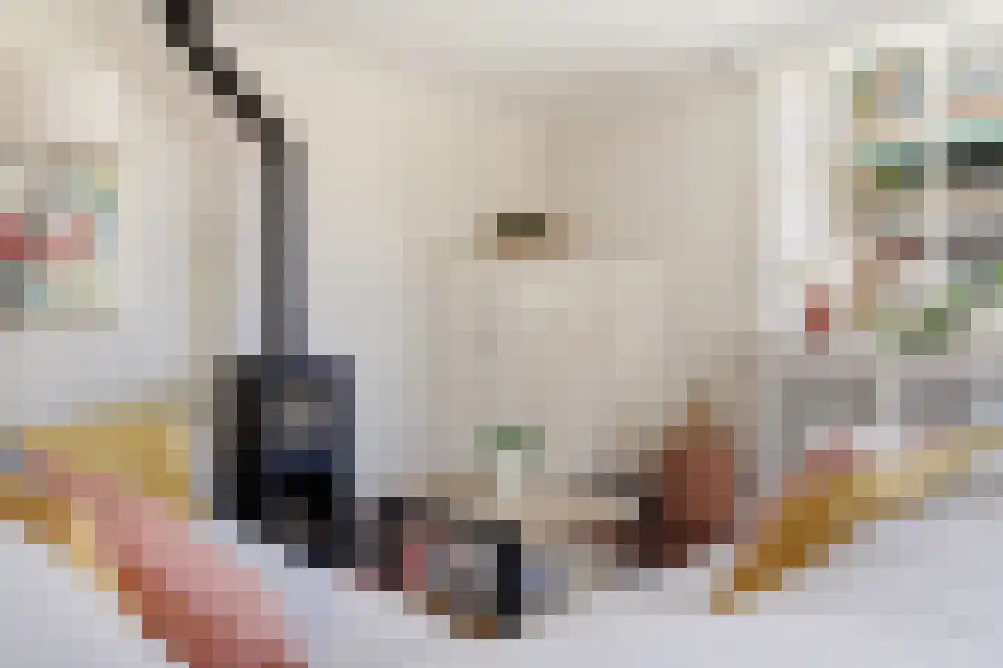 Westergeest 53 Uitgeest thumbnail 7