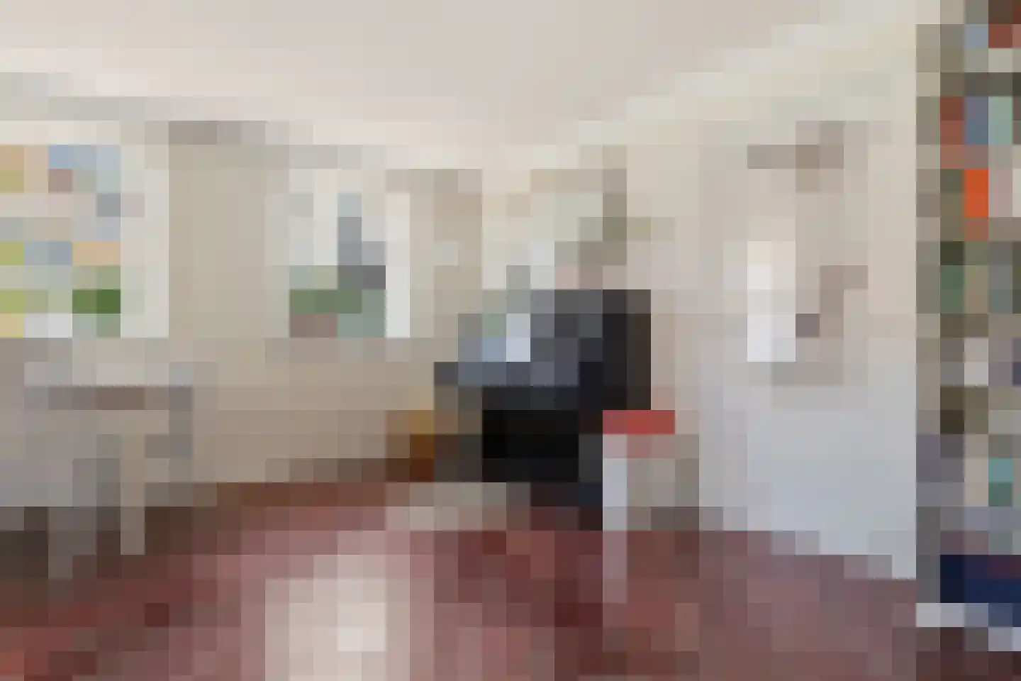 Westergeest 53 Uitgeest thumbnail 9