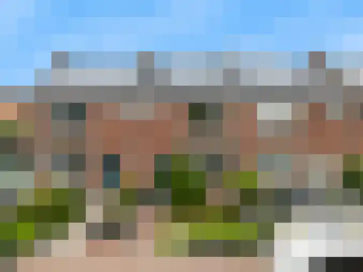 Westergeest 76 Uitgeest