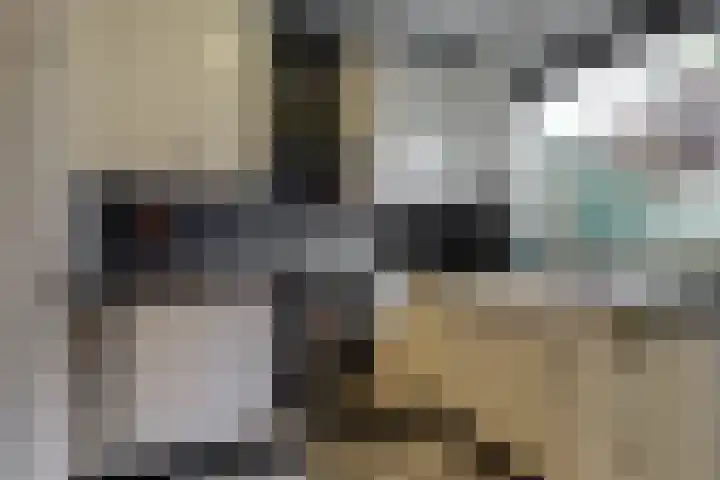 Westergeest 76 Uitgeest thumbnail 10