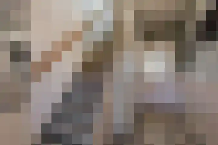 Westergeest 76 Uitgeest thumbnail 12