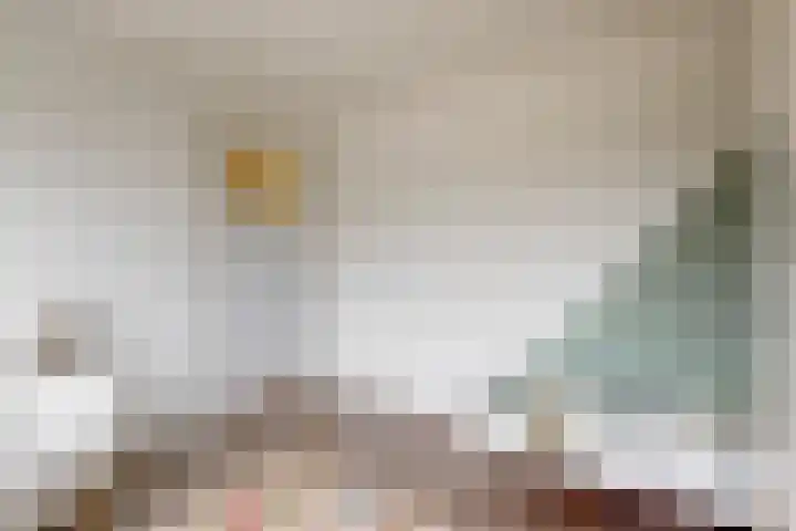 Westergeest 76 Uitgeest thumbnail 20