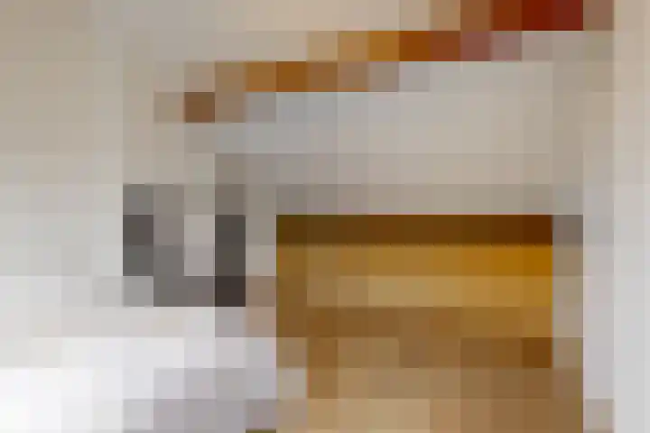 Westergeest 76 Uitgeest thumbnail 22