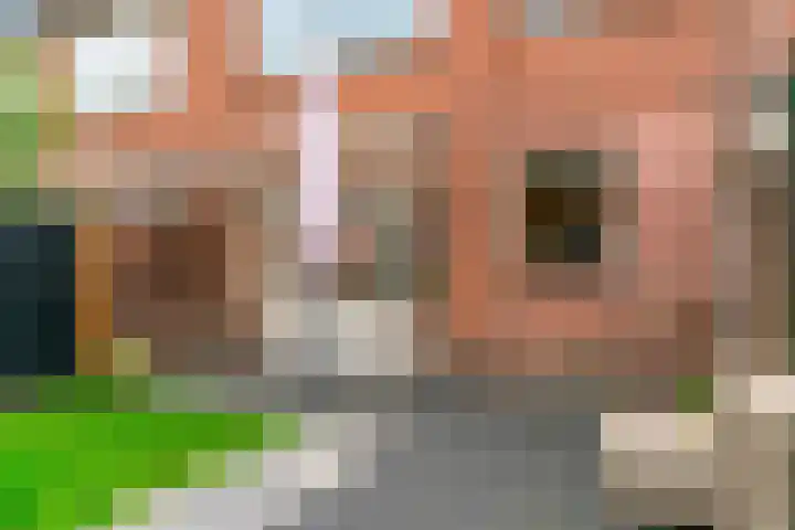 Westergeest 76 Uitgeest thumbnail 27