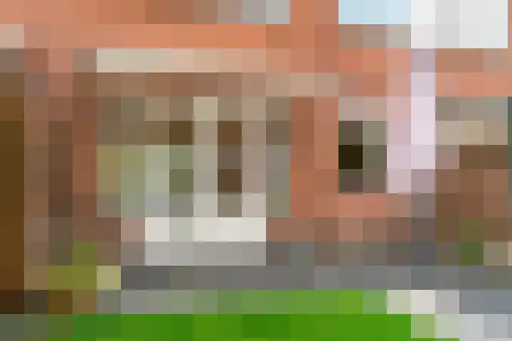 Westergeest 76 Uitgeest thumbnail 28
