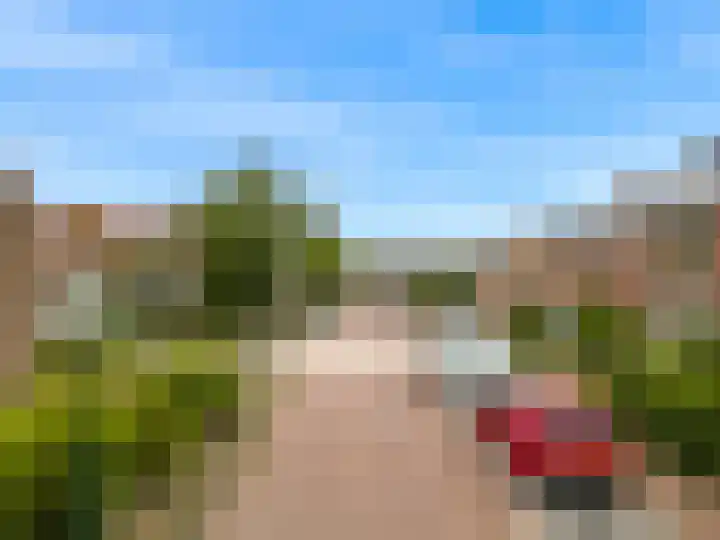 Westergeest 76 Uitgeest thumbnail 32