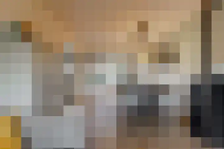 Westergeest 76 Uitgeest thumbnail 6