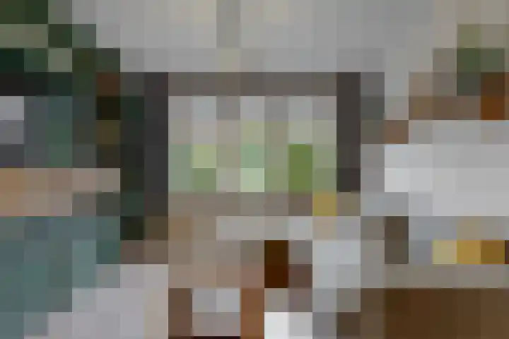 Westergeest 76 Uitgeest thumbnail 7