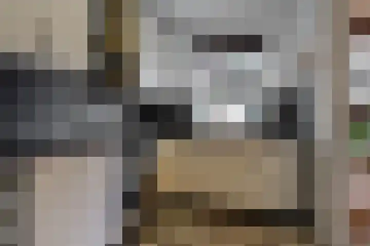 Westergeest 76 Uitgeest thumbnail 9