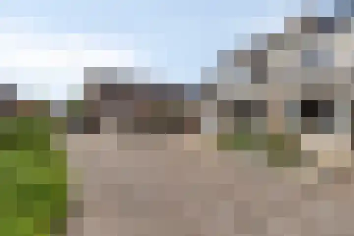 Westergo 17 Veendam thumbnail 5