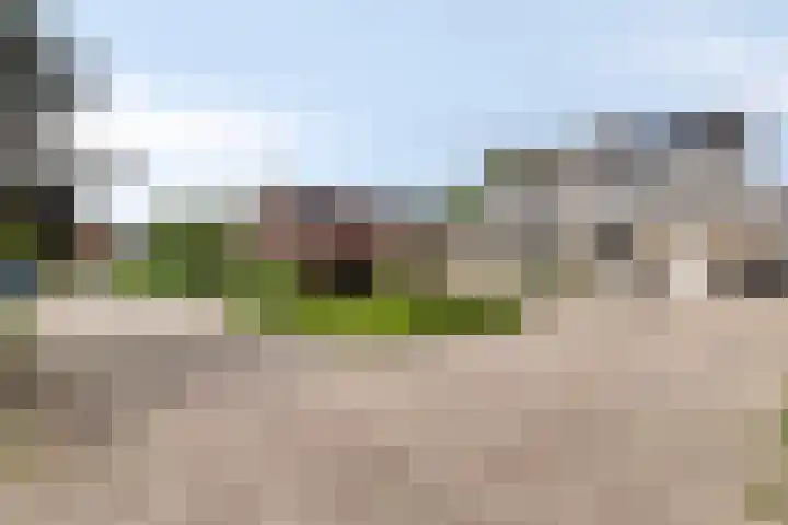 Westergo 17 Veendam thumbnail 7