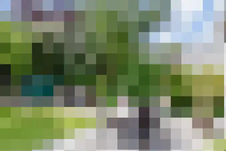 Westergo 41 Zoetermeer thumbnail 26