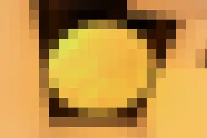 Westergo 41 Zoetermeer thumbnail 42