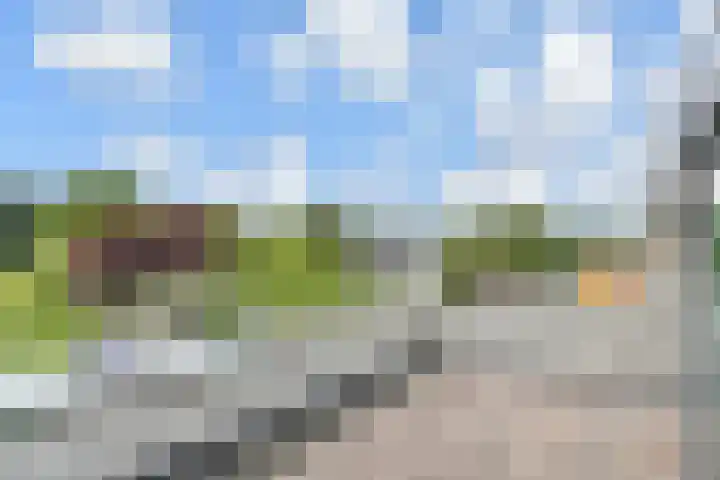 Westergo 41 Zoetermeer thumbnail 46