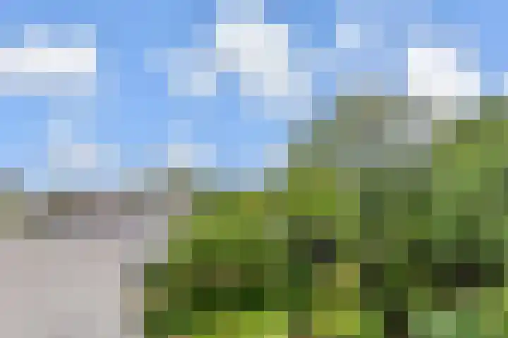 Westergo 41 Zoetermeer thumbnail 50