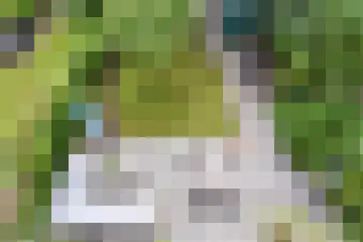 Westergo 41 Zoetermeer thumbnail 51