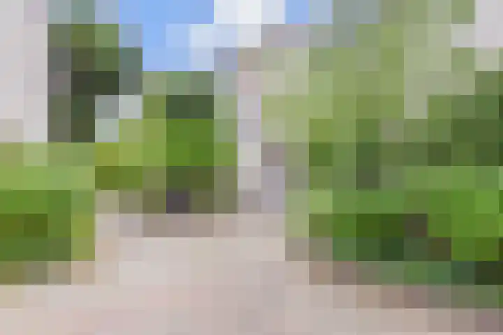 Westergo 41 Zoetermeer thumbnail 53