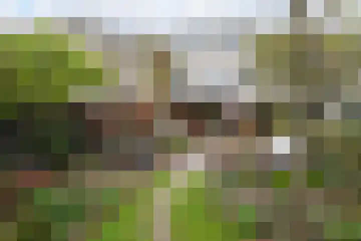 Westergo 53 Zoetermeer thumbnail 21