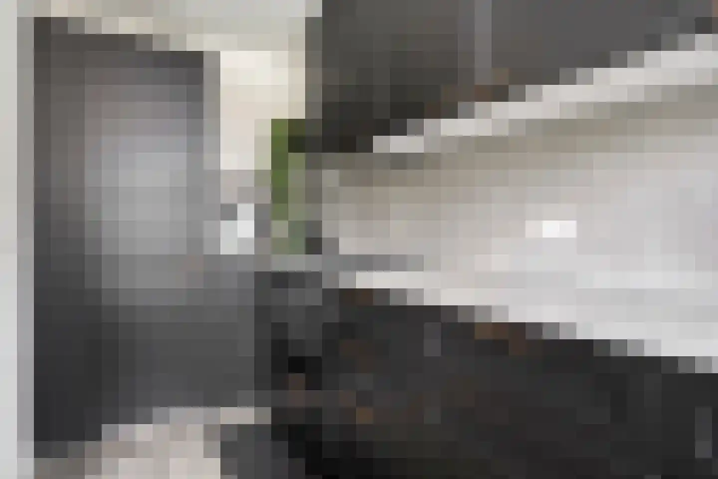Westergo 6 Veendam thumbnail 10