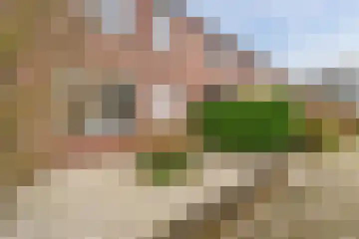 Westergo 94 Zeewolde thumbnail 4