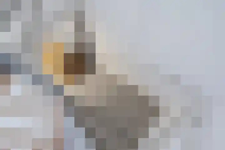 Westergolaan 19 Emmeloord thumbnail 15