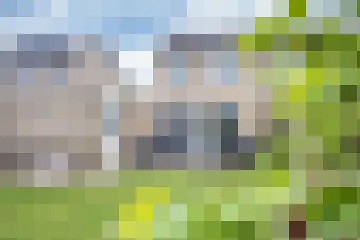 Westergolaan 19 Emmeloord thumbnail 28
