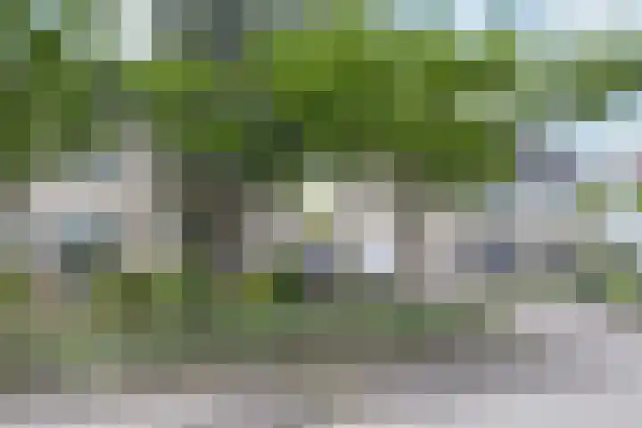 Westergolaan 19 Emmeloord thumbnail 31