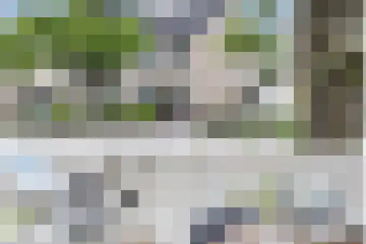 Westergolaan 19 Emmeloord thumbnail 33