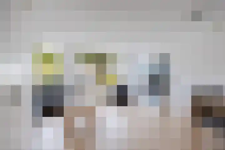 Westergolaan 19 Emmeloord thumbnail 5