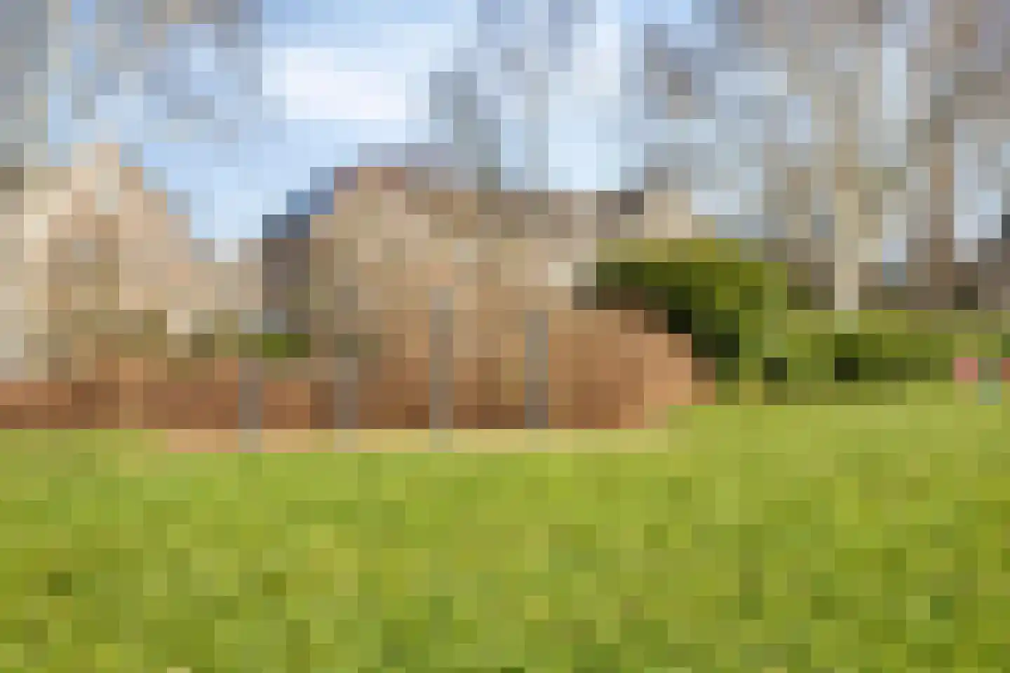 Westergolaan 28 Emmeloord thumbnail 36