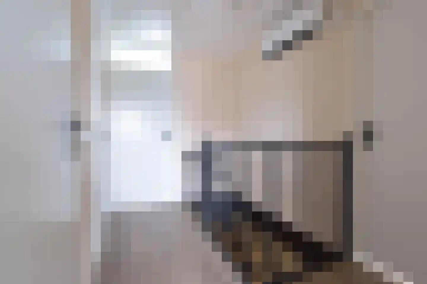 Westergolaan 38 Emmeloord thumbnail 32