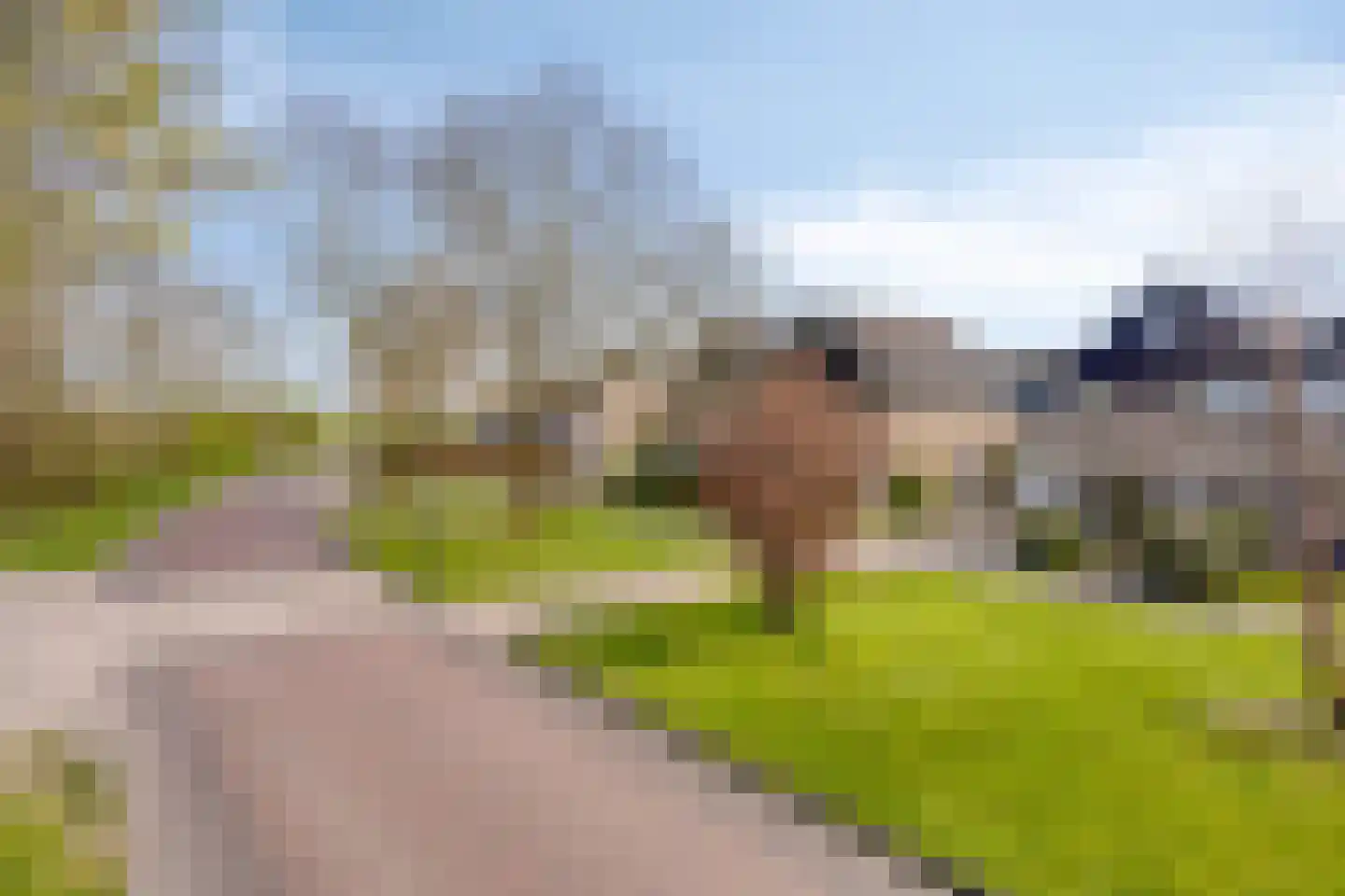 Westergoleane 59 IJlst thumbnail 7