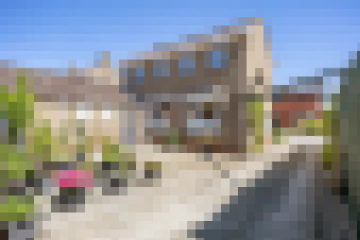 Westergoweg 1 Uithuizen thumbnail 39