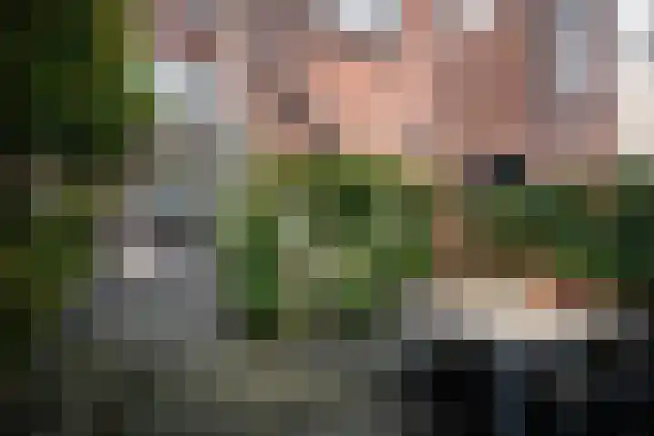 Westergracht 87 ZW Haarlem thumbnail 25