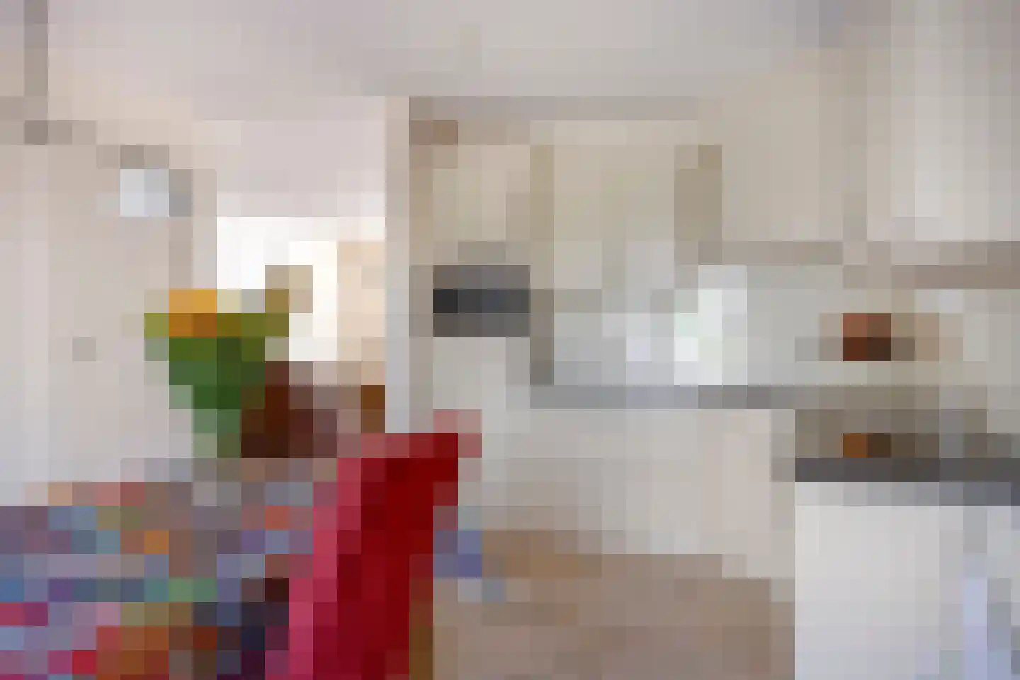 Westerhaar 8 Beltrum thumbnail 12